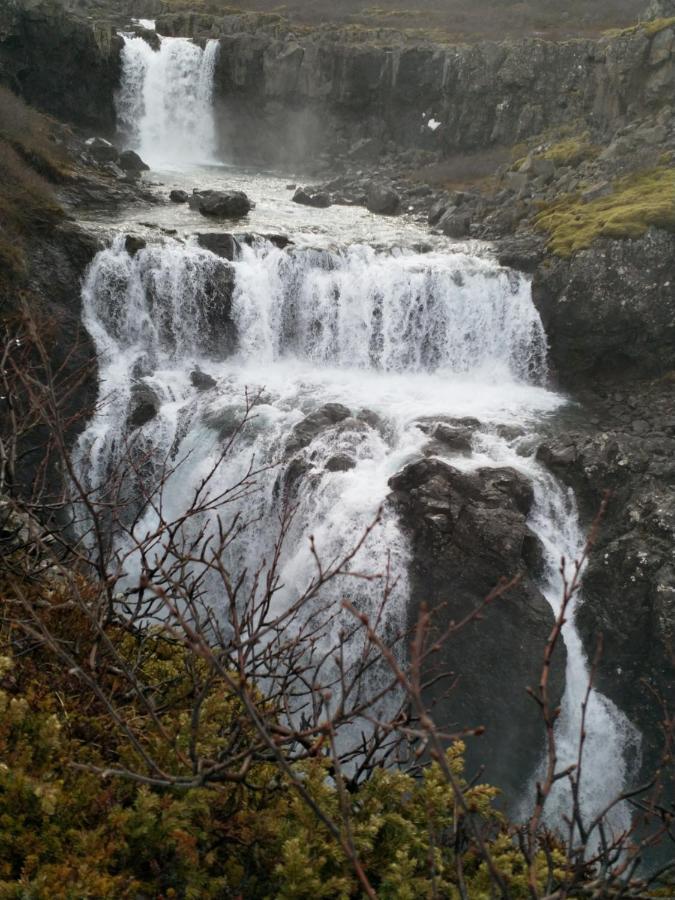 شقة Aegisholt Privete House With Hot Tub Patreksfjordur المظهر الخارجي الصورة